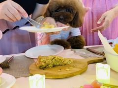 -百好乐宠物友好餐厅(朝外大街店)