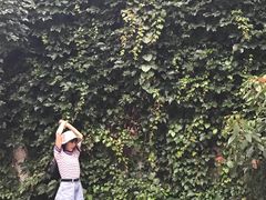 -小洲村