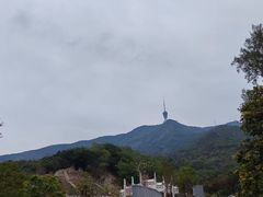 -梧桐山风景名胜区