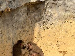 -杭州野生动物世界