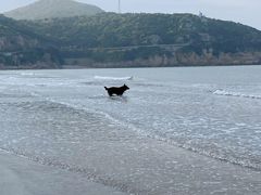 -嵊泗基湖沙滩