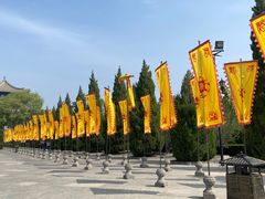 -大槐树寻根祭祖园