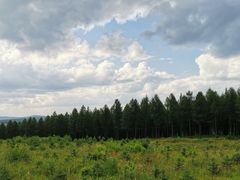 -塞罕坝国家级自然保护区