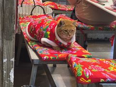 -龙厂长老火锅(抚琴店)