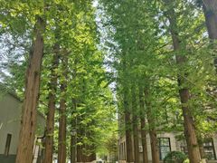 -大连理工大学(凌水校区)