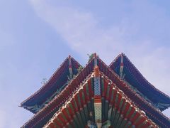 -曹州牡丹园