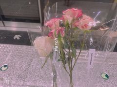 -大龙山(地铁站)