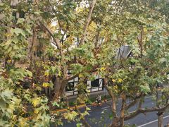 -一尺花园(安和花园店)