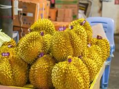 -菜园坝水果市场