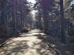 -沈阳辉山风景区