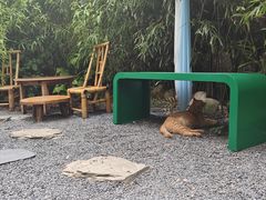 -南枝小馆(银鱼巷店)