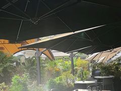 -gaga(深圳南山益田假日广场店)