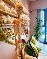 -颜和骨正&明星徒手小颜整骨