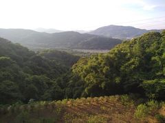 -广州市帽峰山景区