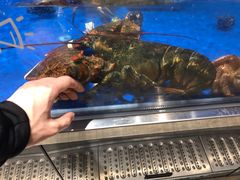 -盒马鲜生(财富中心店)