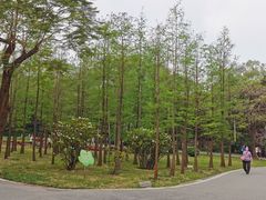 -晓港公园