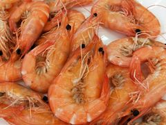 -渔民船说·北塘海鲜·天津菜·海肠捞饭(北塘古镇店)