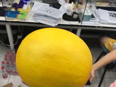 -东华大学(松江校区)