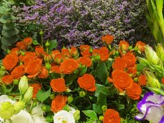 -爱尚幸福鲜花(上地实体店)