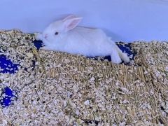 -万达广场(临港店)