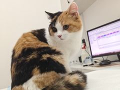 -福州肆爪动物医院