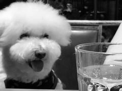 -臻鲜燕海鲜融合餐厅(金陵style店)