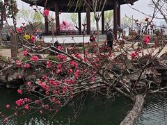 -无锡蠡湖国家湿地公园-蠡园