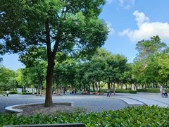 -南翔镇银翔湖公园