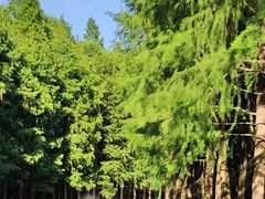 景点-上海欢乐谷