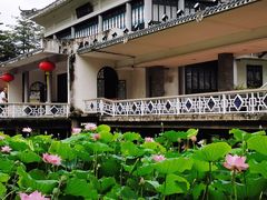 -荔湾湖公园