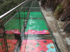 -九龙江国家森林公园