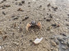 -北海金海湾红树林生态旅游区