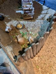 -酷嗒动物文化乐园(cutezoo西溪乐天城店)