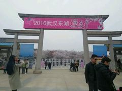 -东湖磨山景区樱花园-停车场