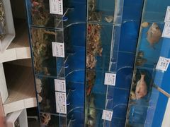 -宾朋海鲜特色美食餐厅·纯手工鲅鱼水饺(兴海路店)