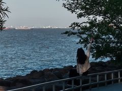 -上海吴淞炮台湾国家湿地公园