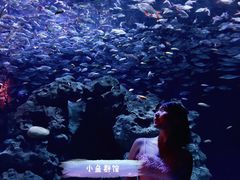 -成都浩海立方海洋公园