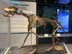 -北京周口店北京人遗址博物馆