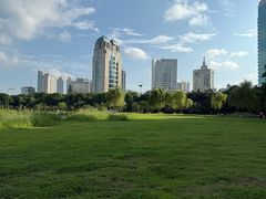 -南宁南湖公园