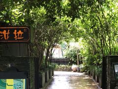 -野蔓果·山野菜(西湖景区·龙井茶田店)