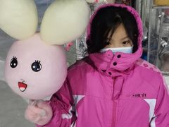 -沈阳奥体冰雪嘉年华