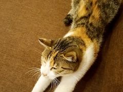 -猫的天空之城概念书店(景德镇陶溪川店)