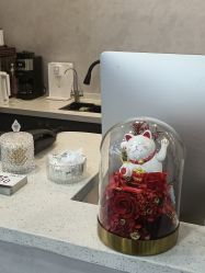 -I+造型烫发染发