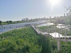 -哈尔滨大剧院
