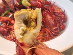 -大马头·邵伯龙虾