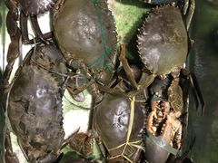 大闸蟹-Isla Sugbu Seafood City