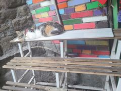 -重庆十八梯传统风貌区