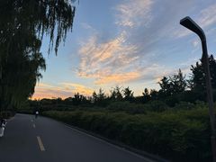 -洨河生态公园