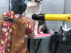 -宠福鑫康馨动物医院·骨科·眼科