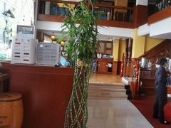 -OLD TREE老树咖啡·西餐厅(台山人工湖店)